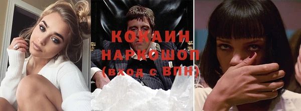 гашик Белокуриха